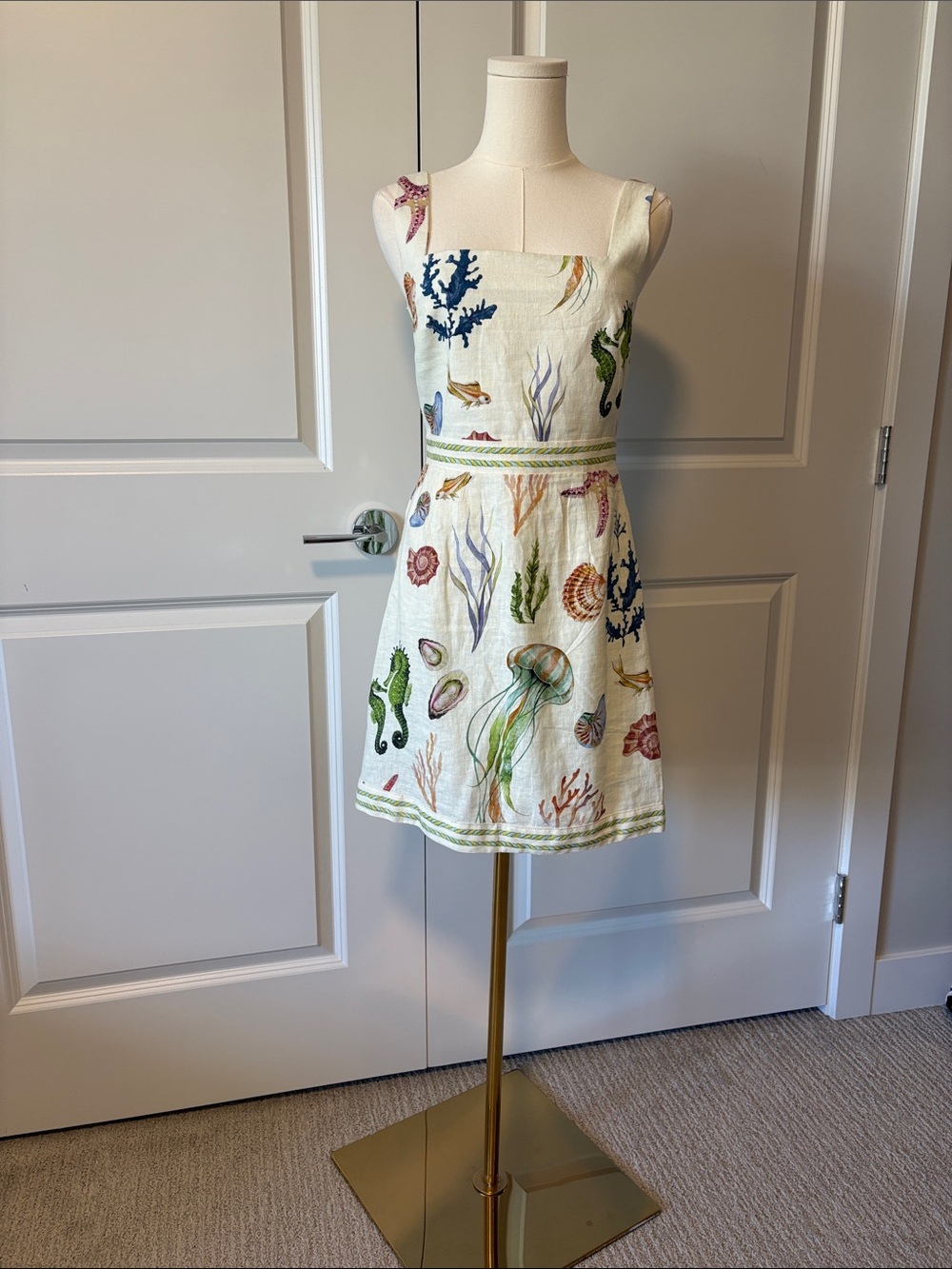 Caroline Constas dress
